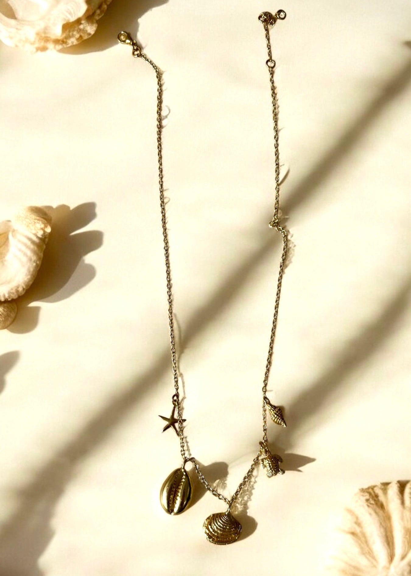 Seashell addict