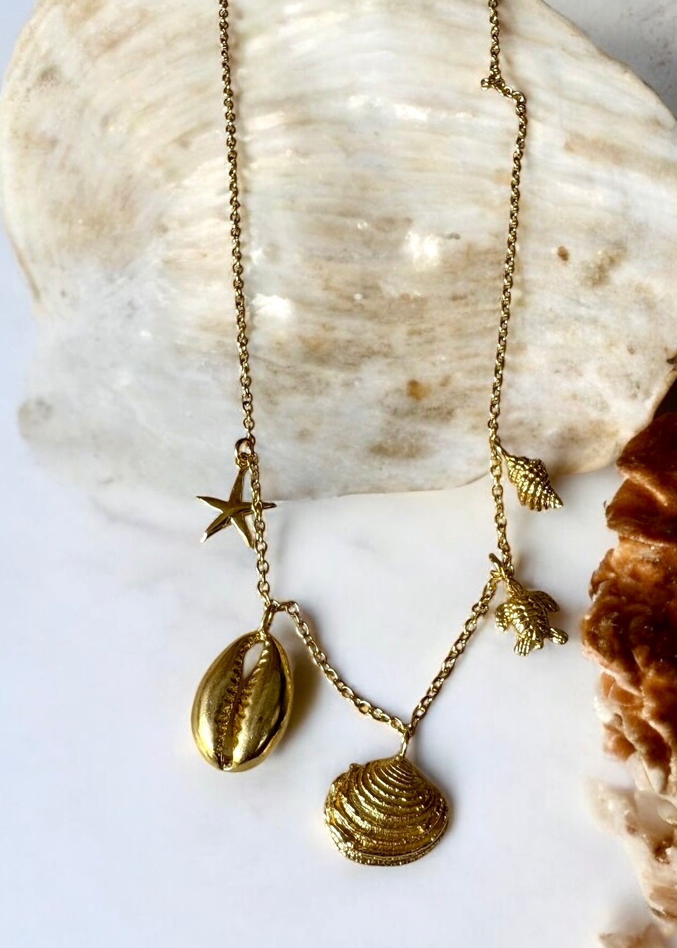 Seashell addict