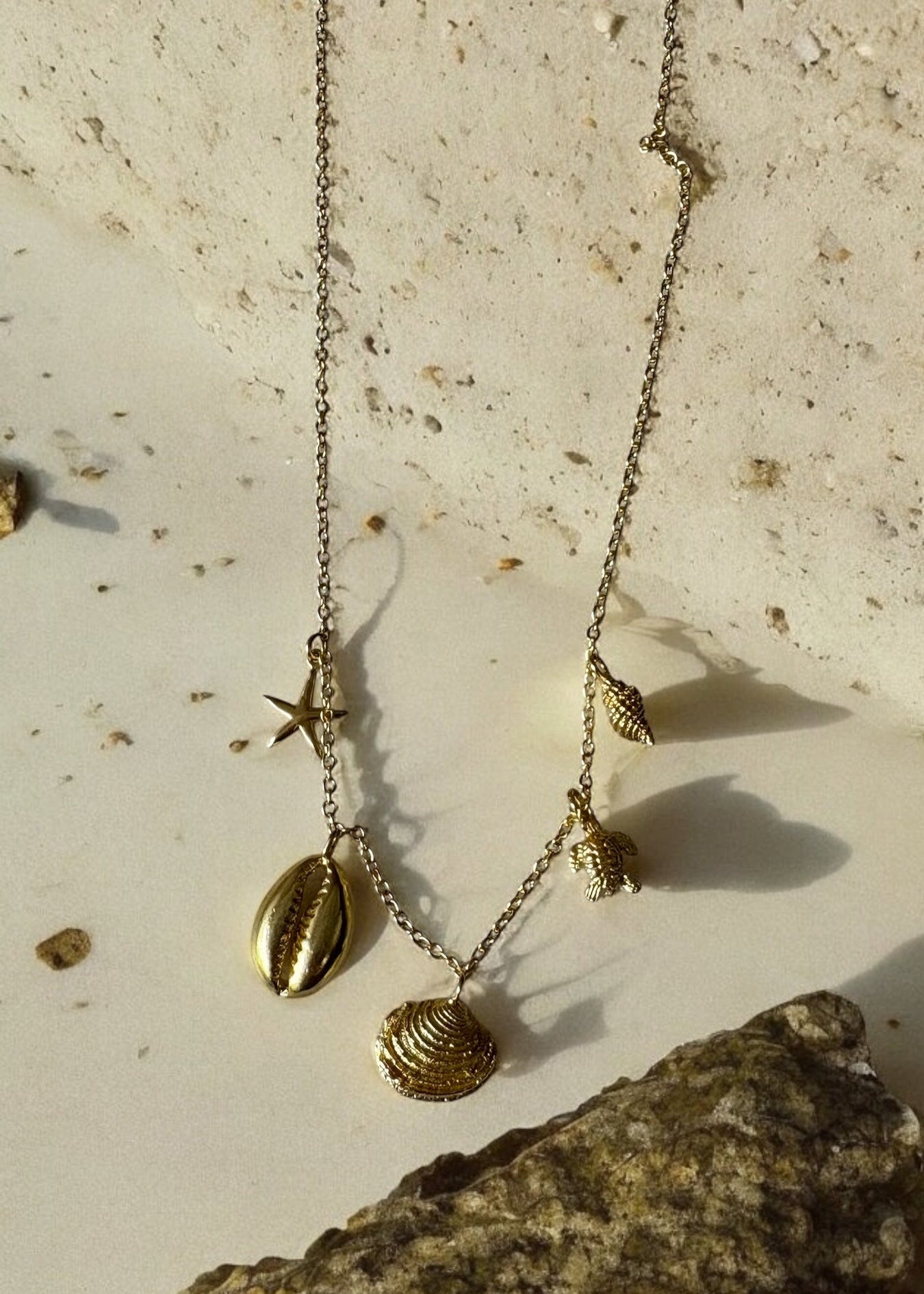 Seashell addict