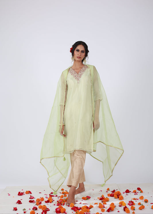 Model in That Romeo’s Roobroo lemon green organza kurta set with embroidered neckline, sheer dupatta, and gold pants — perfect for festive daywear.