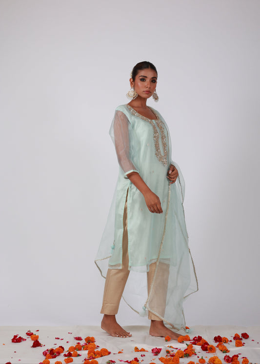 Ice Blue Organza Kurta Set with Hand Embroidery & Dupatta